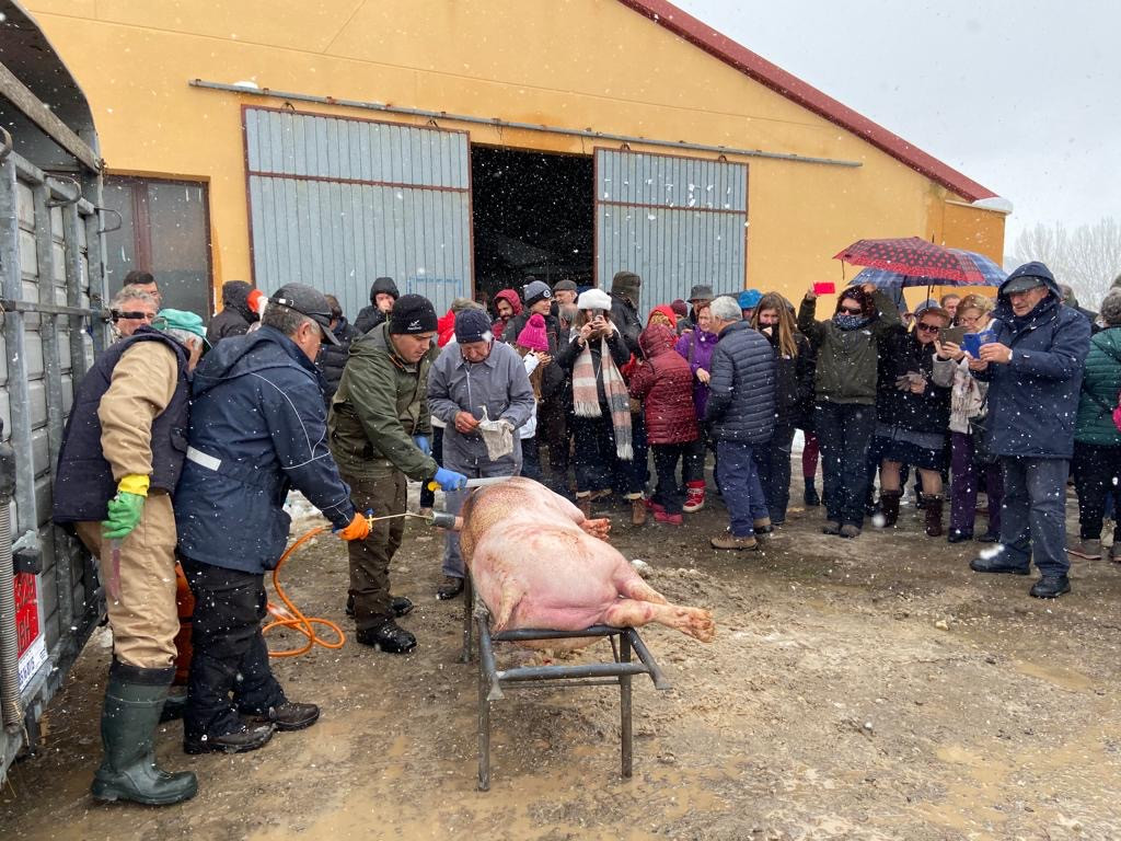 Programa Oficial De Las Jornadas Gastron Micas De La Matanza Y Del