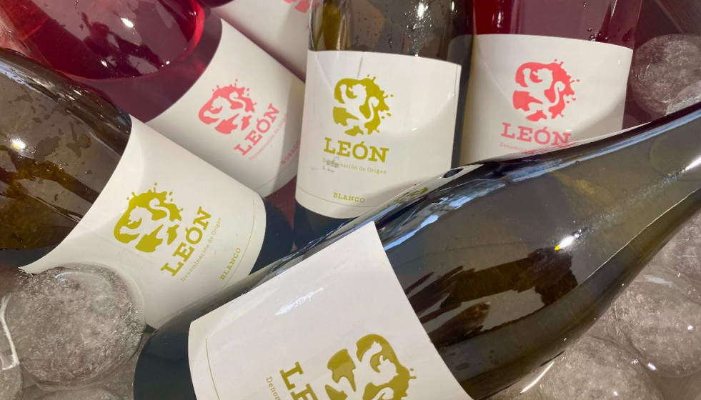Botellas genéricas vinos DO Leon